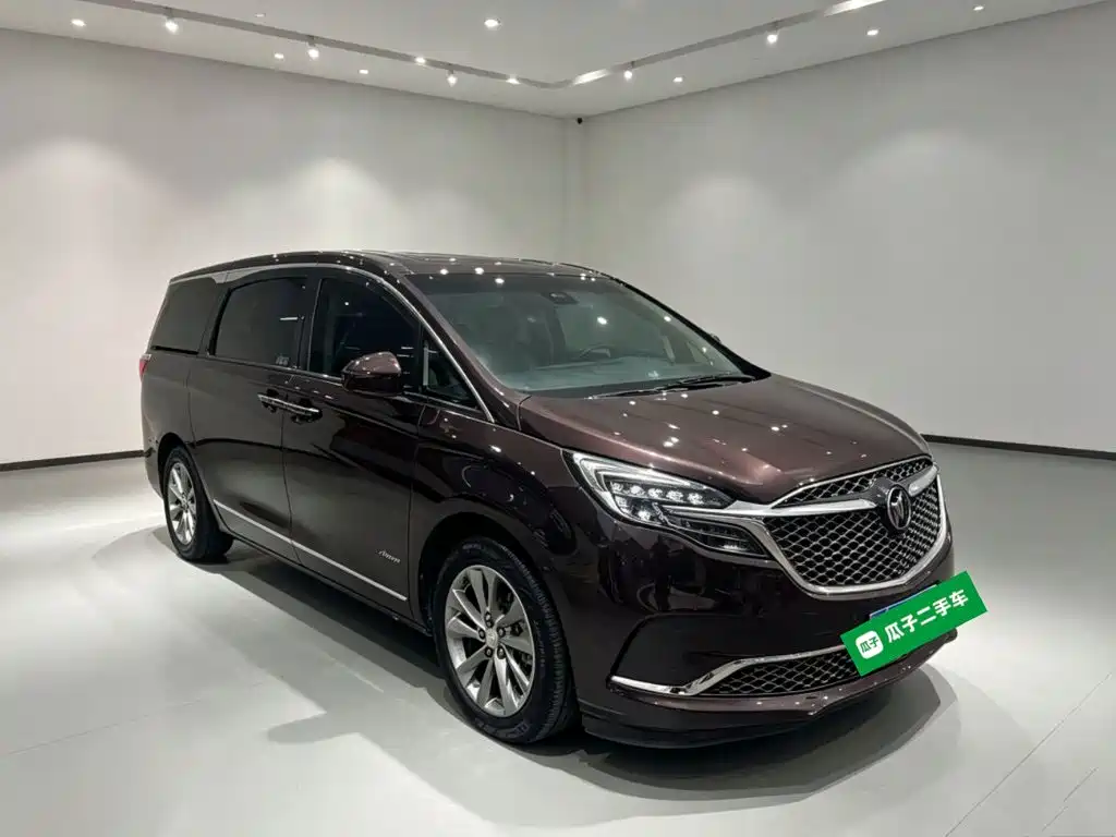 Buick GL8 — миниатюра 4