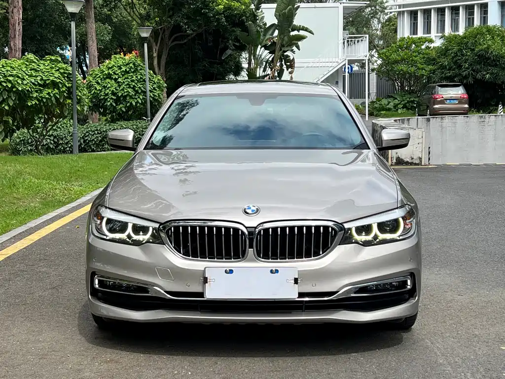 BMW 5 Series 5 2019 530Li Lead Luxury