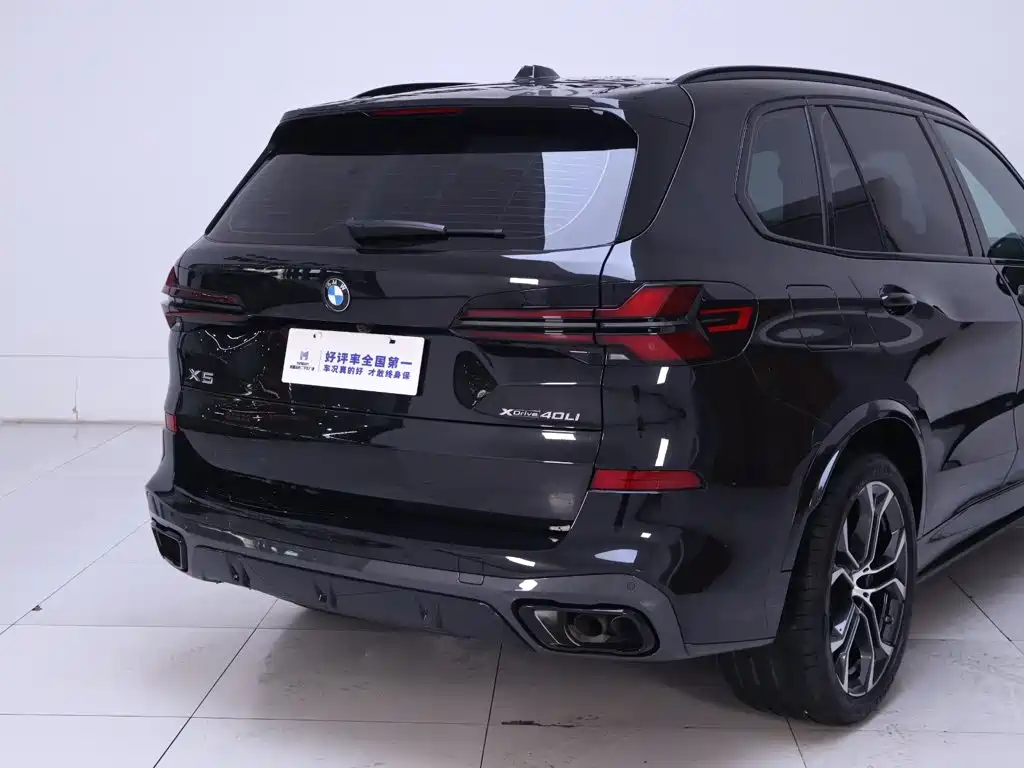 BMW X5 — миниатюра 8