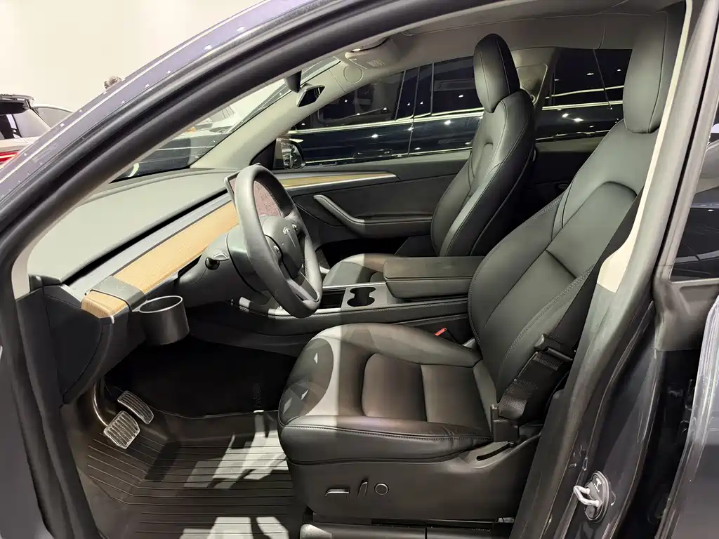 Tesla Model Y — миниатюра 5