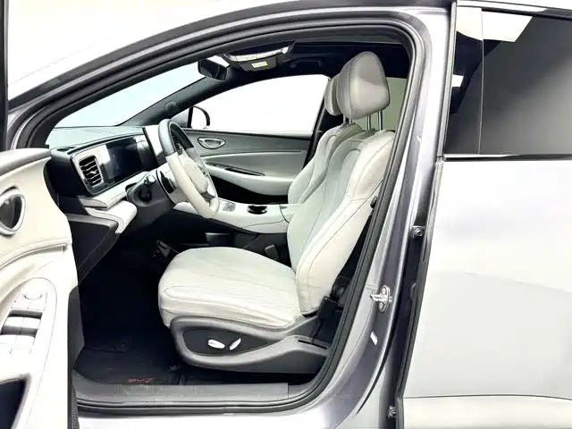 BYD Sealion 06 — миниатюра 5
