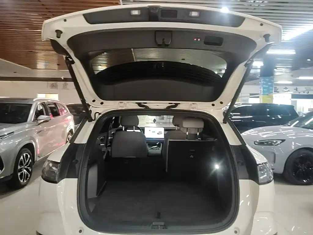 BYD Haisi 06 — миниатюра 19