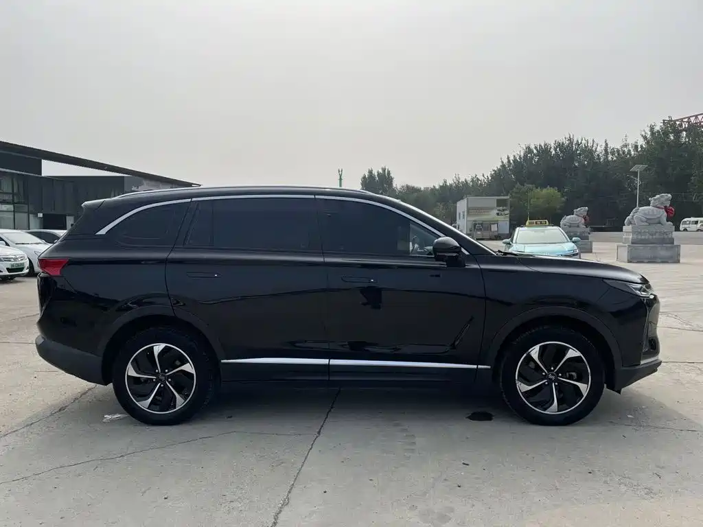 WM Motor EX6 — миниатюра 4