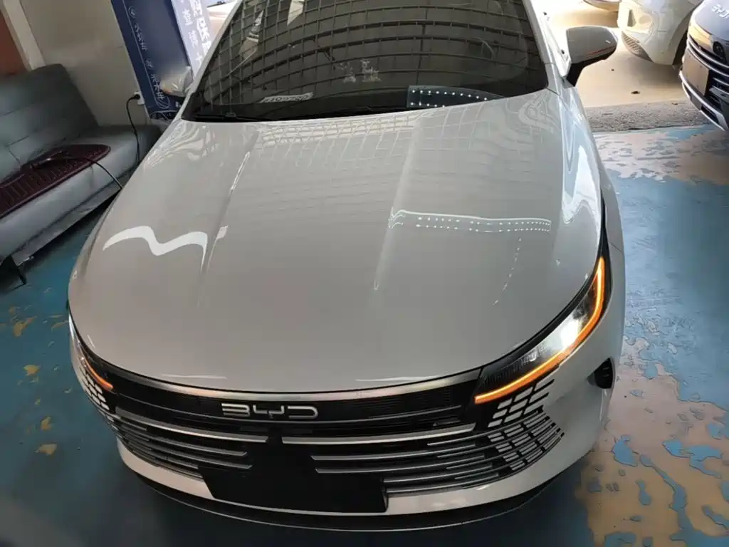 BYD Destroyer 05 — миниатюра 3