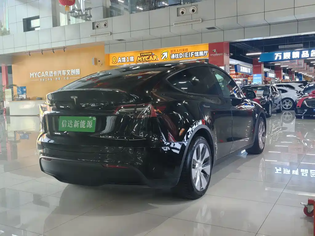 Tesla Model Y — миниатюра 11