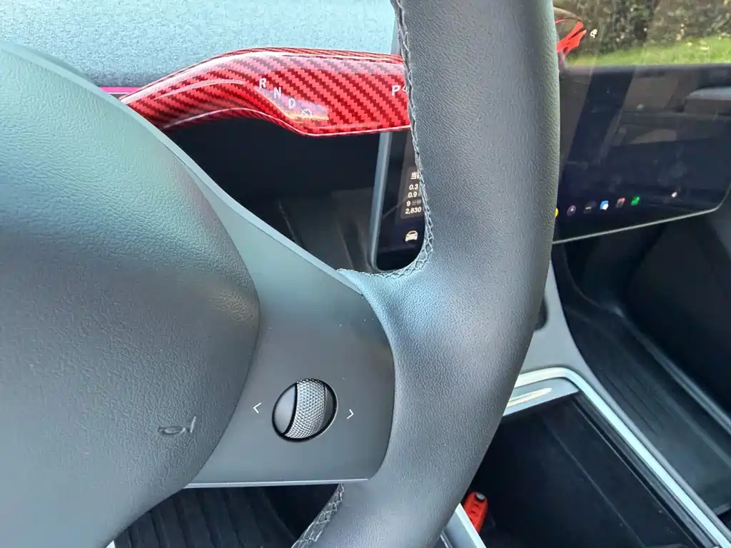 Tesla Model Y — миниатюра 10
