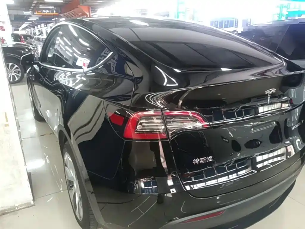 Tesla Model Y — миниатюра 5