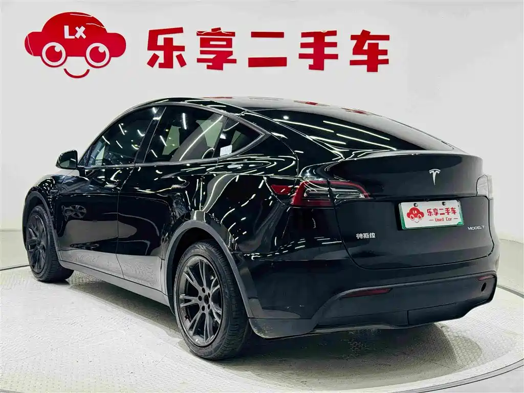 Tesla Model Y — миниатюра 3