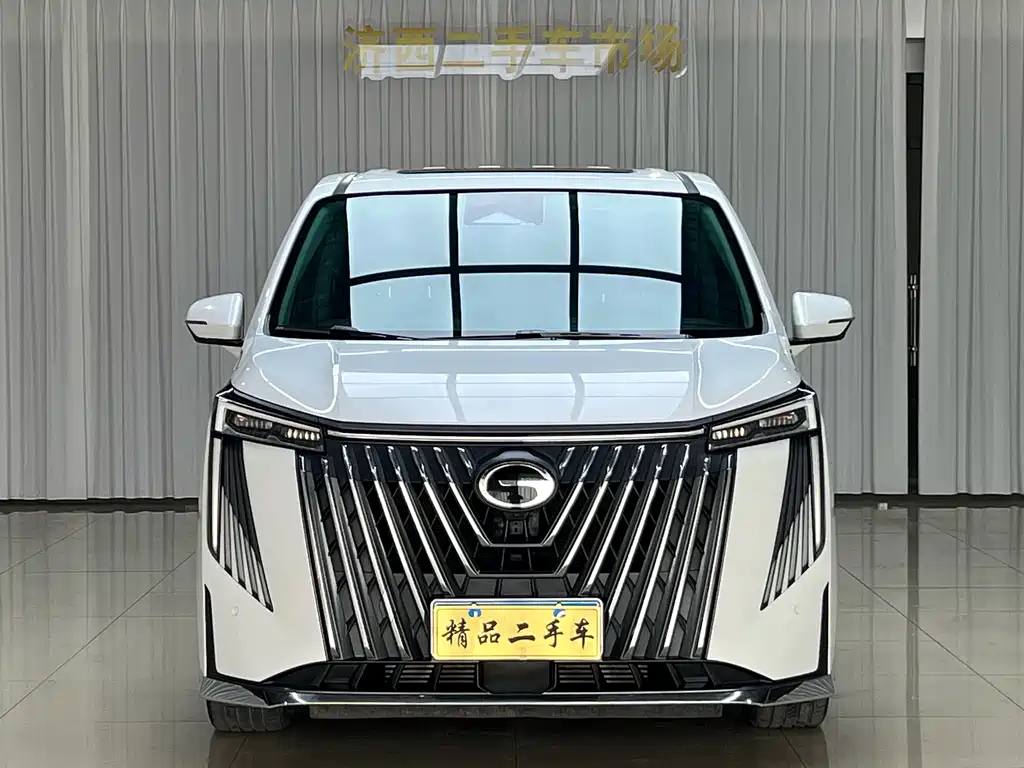 GAC Motor Trumpchi M8 — миниатюра 2