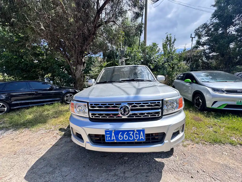 DONGFENG RUIQI