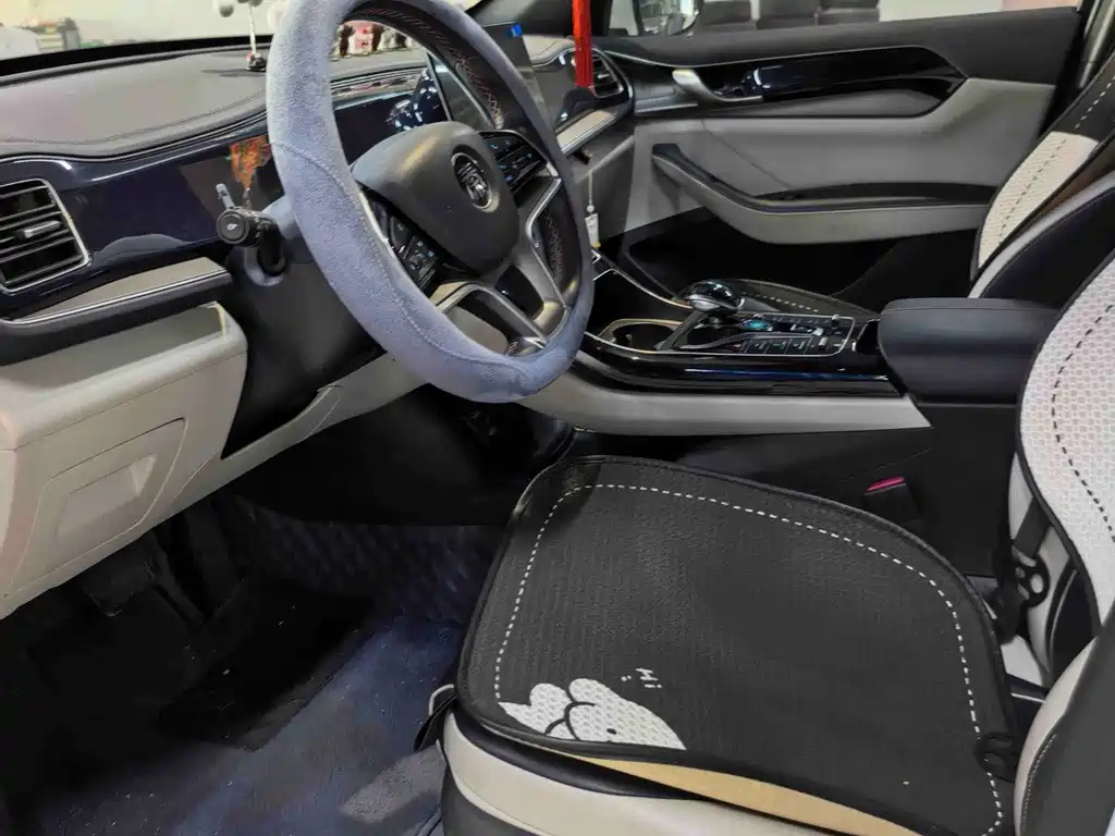BYD Qin PLUS — миниатюра 3
