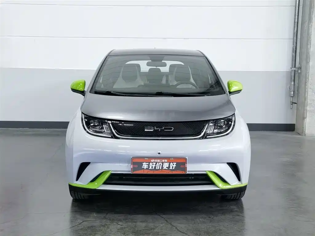 BYD Dolphin 2021 405km Fashion