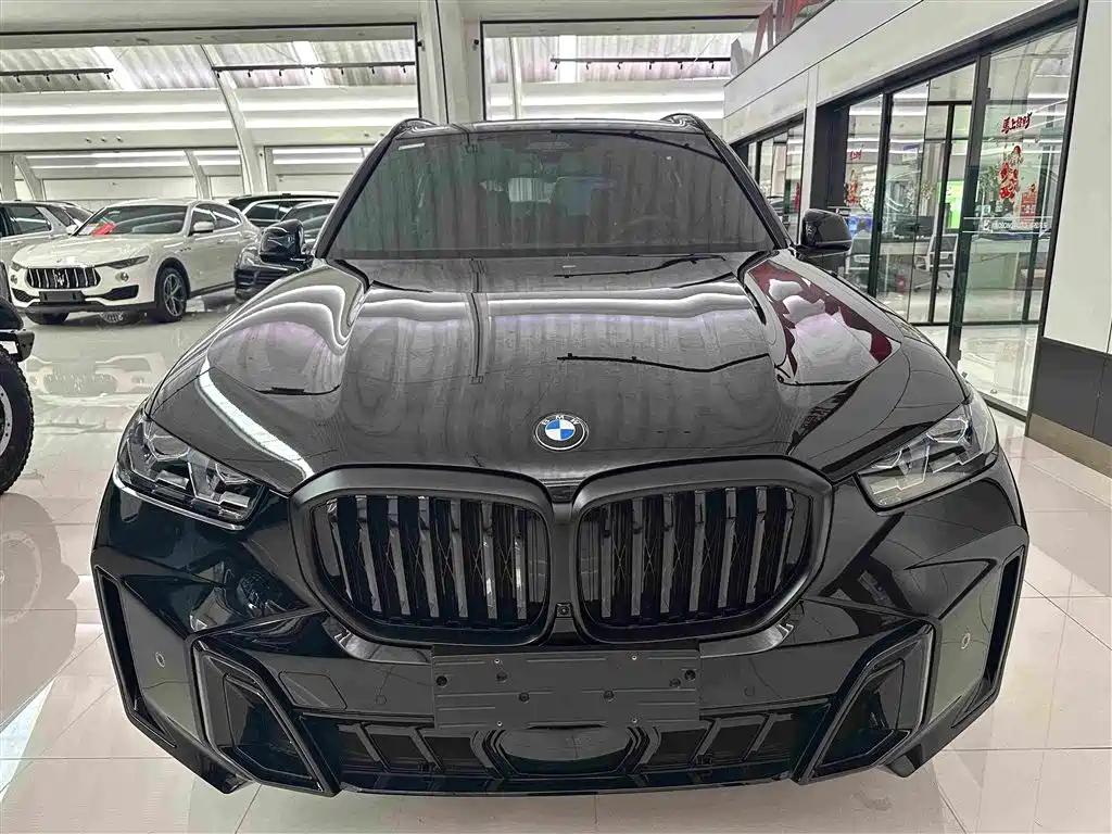 BMW X5 — миниатюра 2