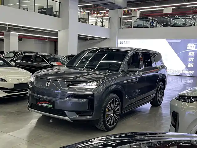 2025 Denza N9