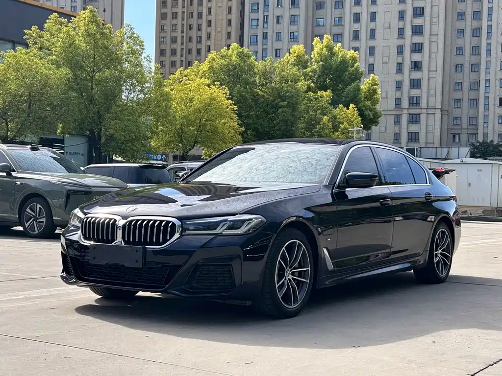 BMW 5 Series New Energy