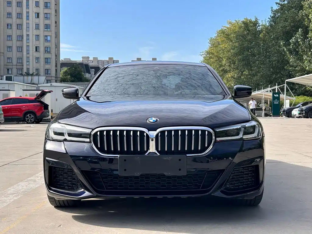 BMW 5 Series New Energy — миниатюра 2