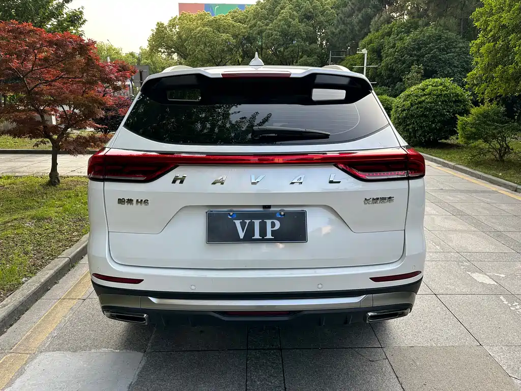 Haval H6 — миниатюра 11