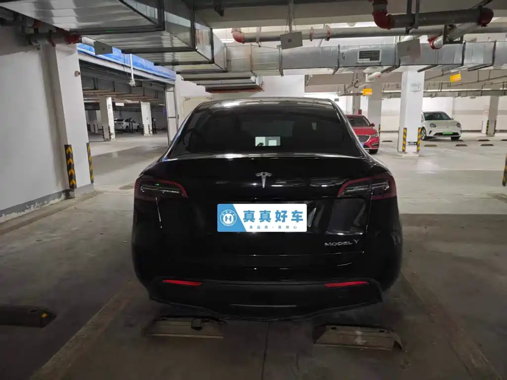 Tesla Model Y — миниатюра 8