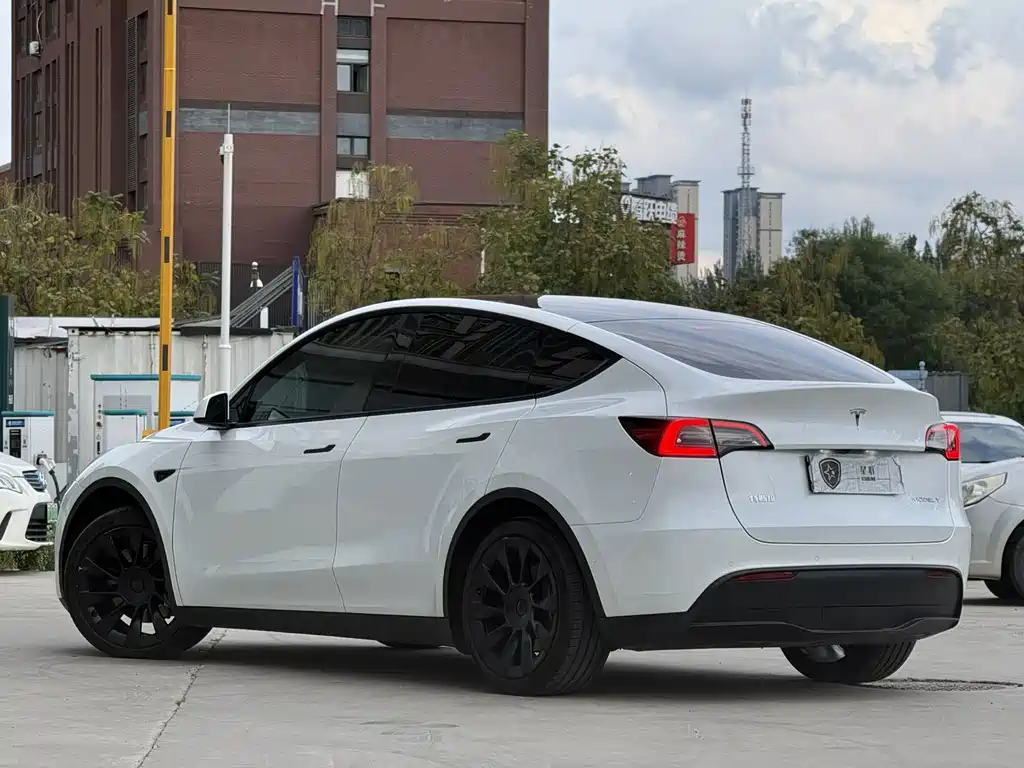 Tesla Model Y — миниатюра 4