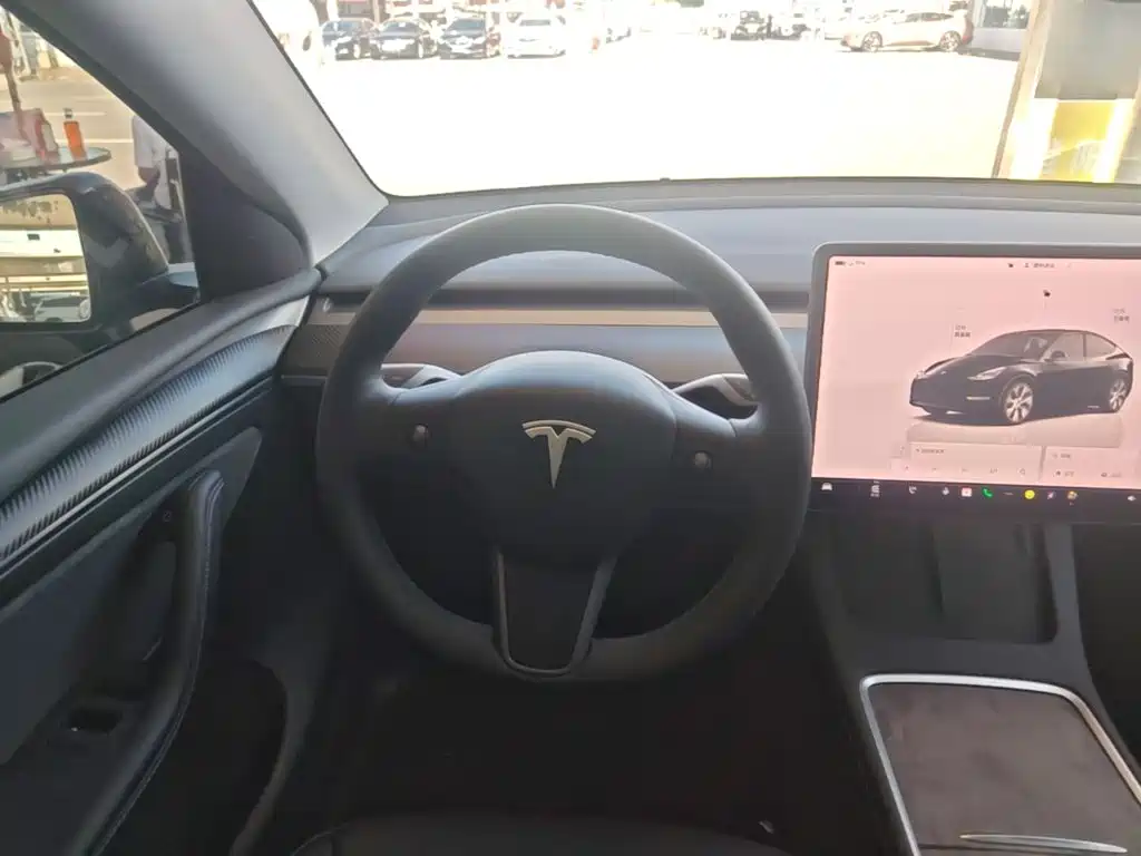 Tesla Model Y — миниатюра 11