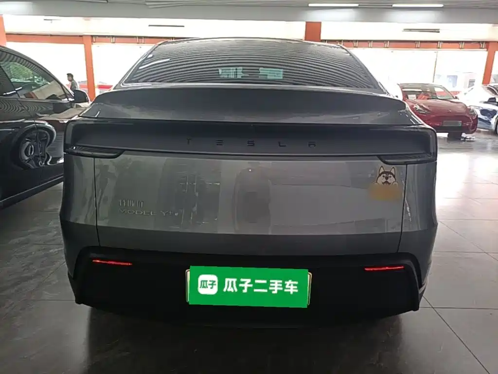 Tesla Model Y — миниатюра 6