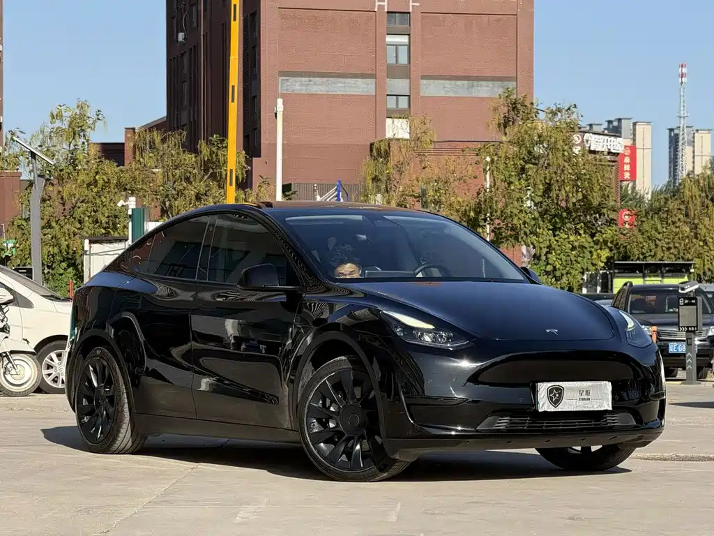 Tesla Model Y — миниатюра 3
