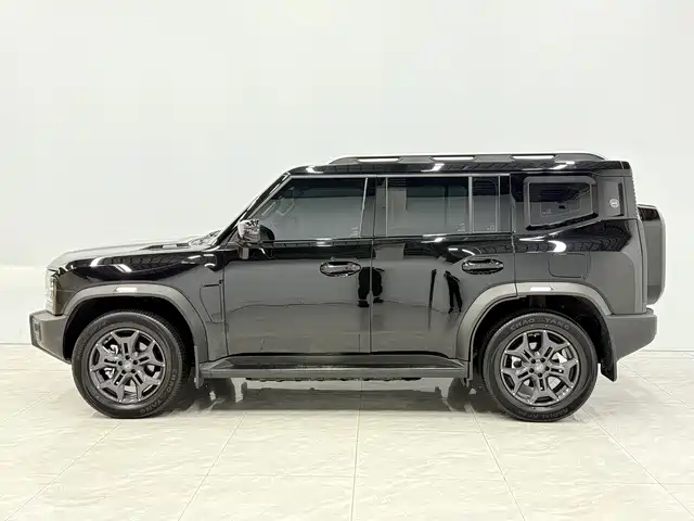 Shanhai Traveller C-DM — миниатюра 2