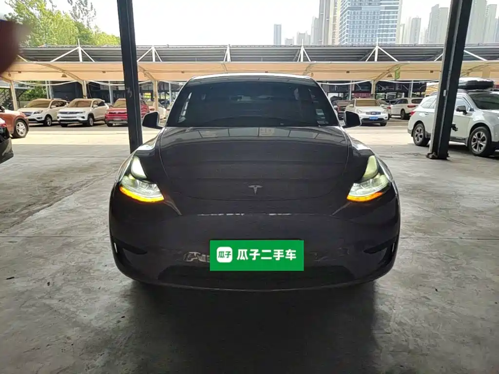 Tesla Model Y — миниатюра 3