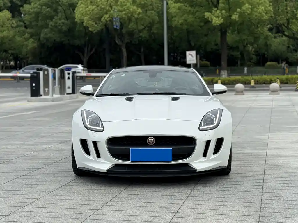 Jaguar F-TYPE — миниатюра 2