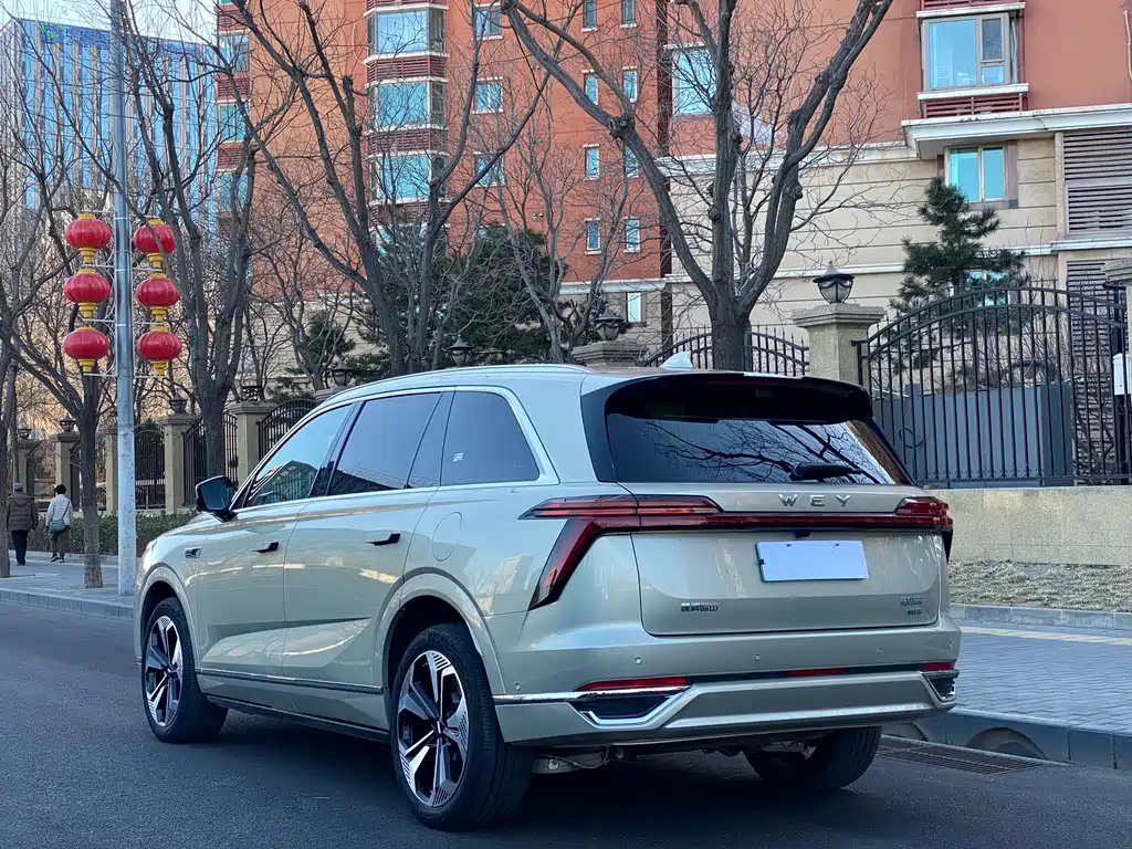 WEI PAI WEI BRAND BLUE MOUNTAIN