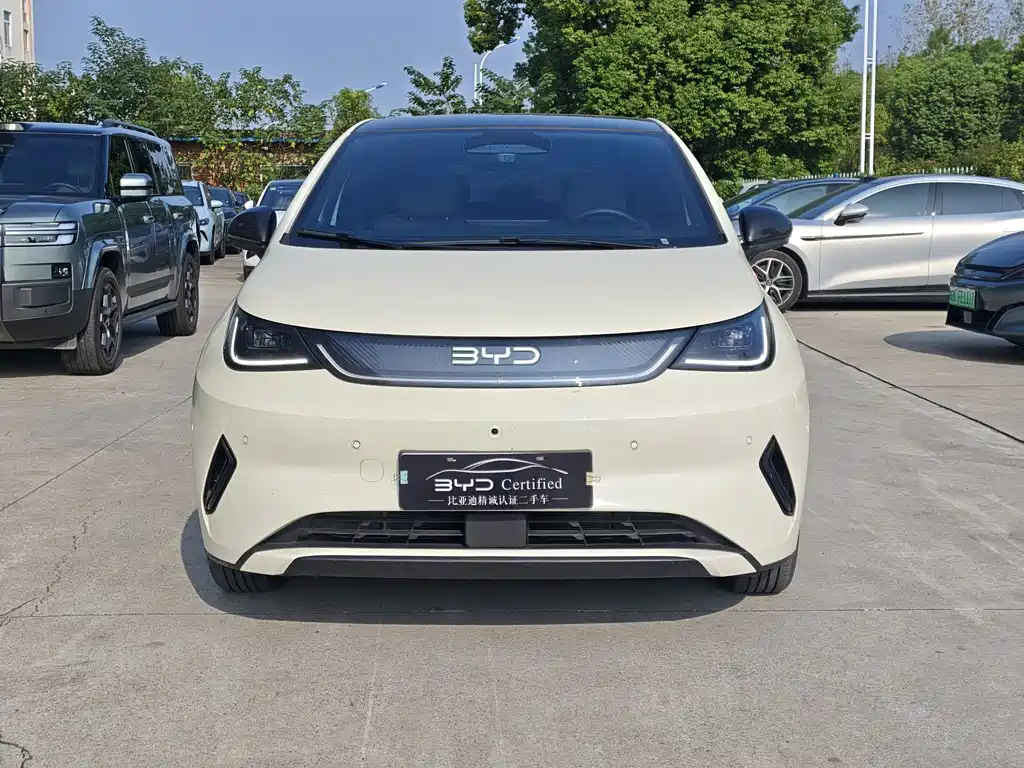 BYD Dolphin — миниатюра 2