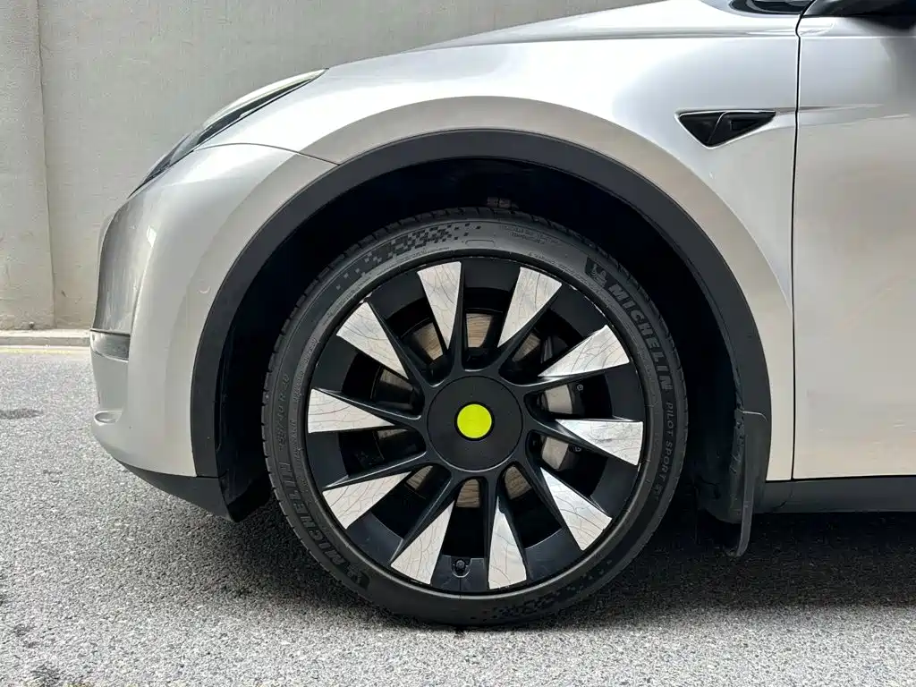 Tesla Model Y — миниатюра 6