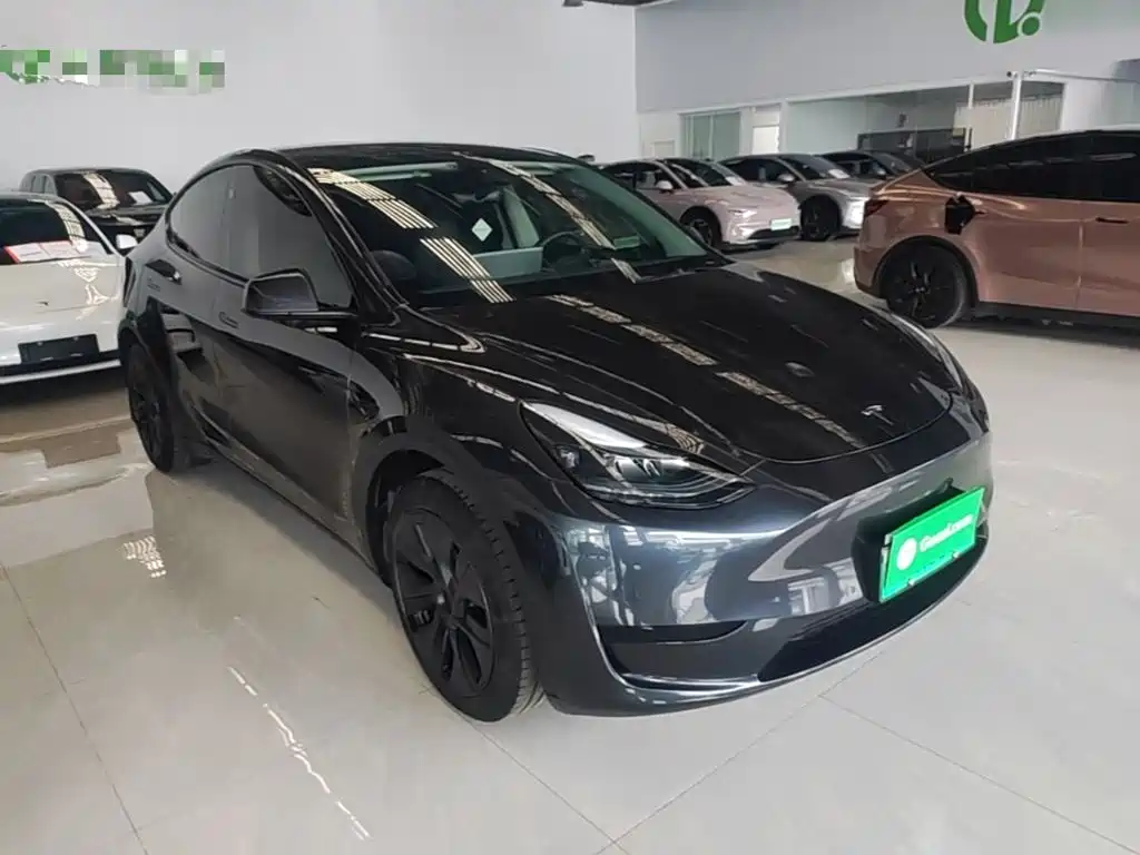 Tesla Model Y — миниатюра 4
