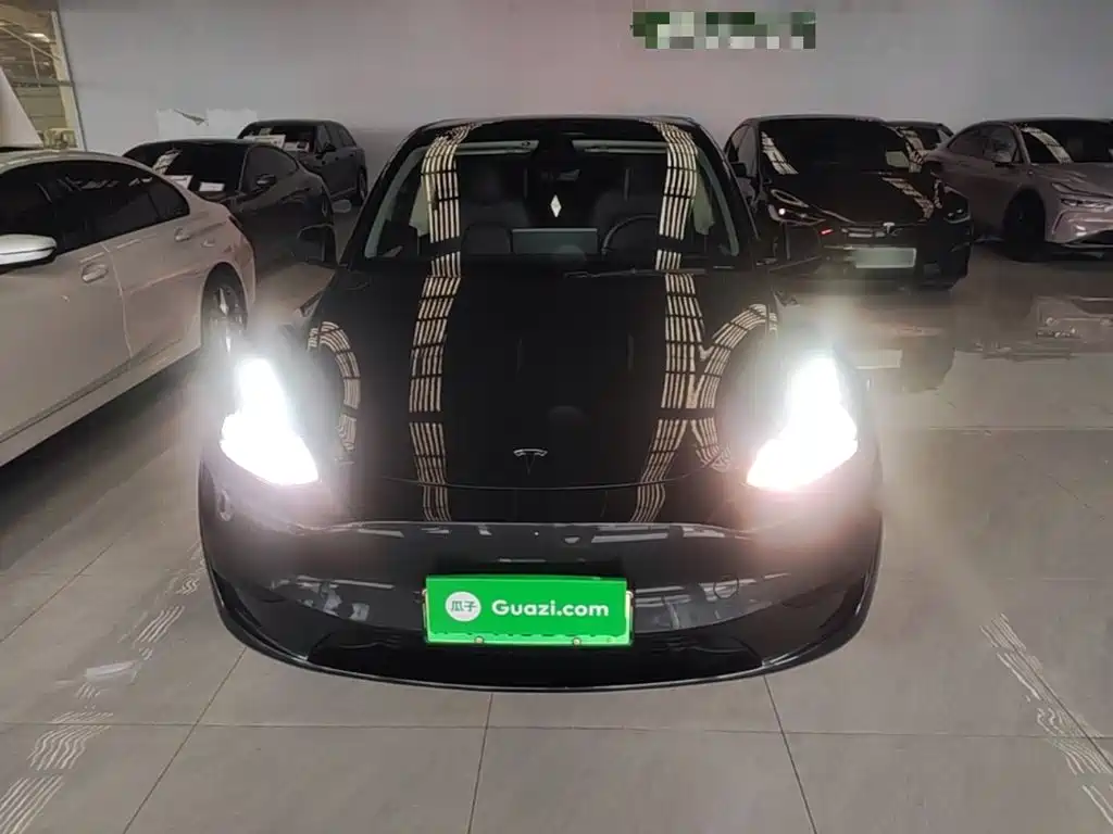 Tesla Model Y — миниатюра 3