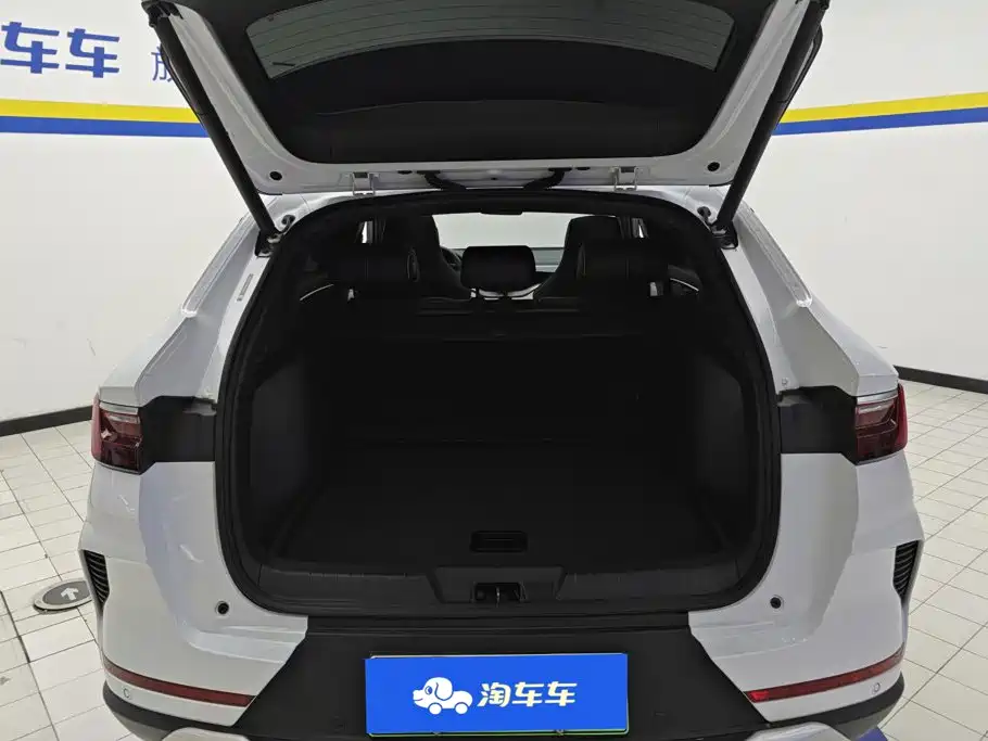 BYD PLUS New Energy — миниатюра 4