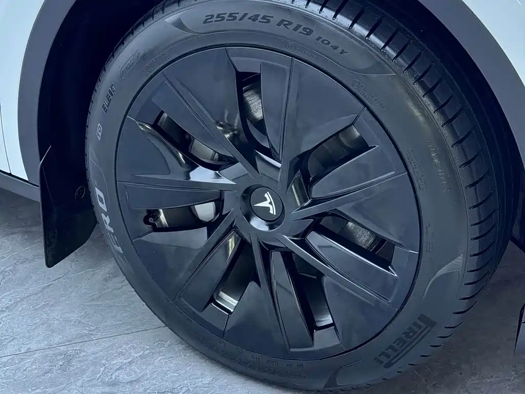 Tesla Model Y — миниатюра 4