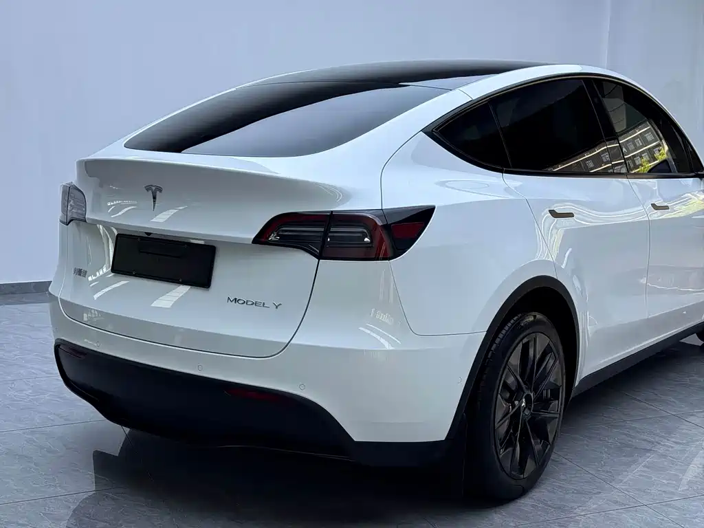 Tesla Model Y — миниатюра 15