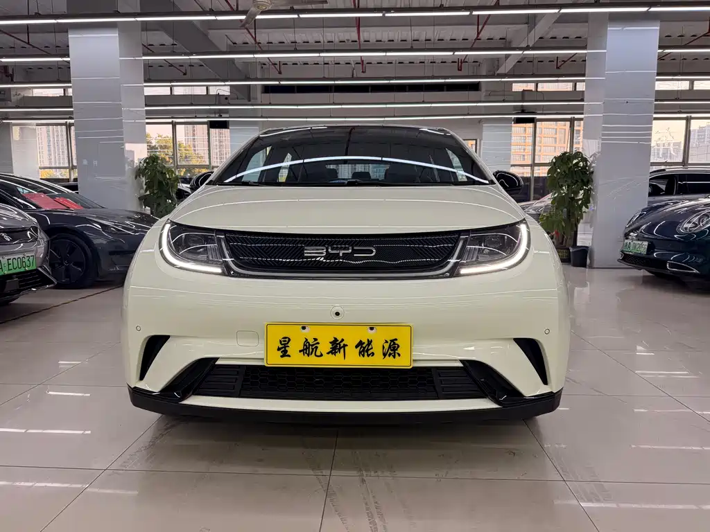 BYD DOLPHIN