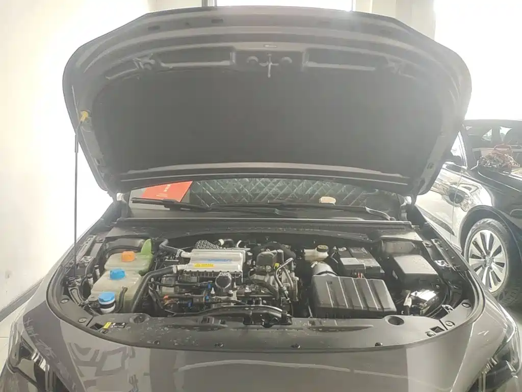 GAC Motor Shadow Leopard — миниатюра 20