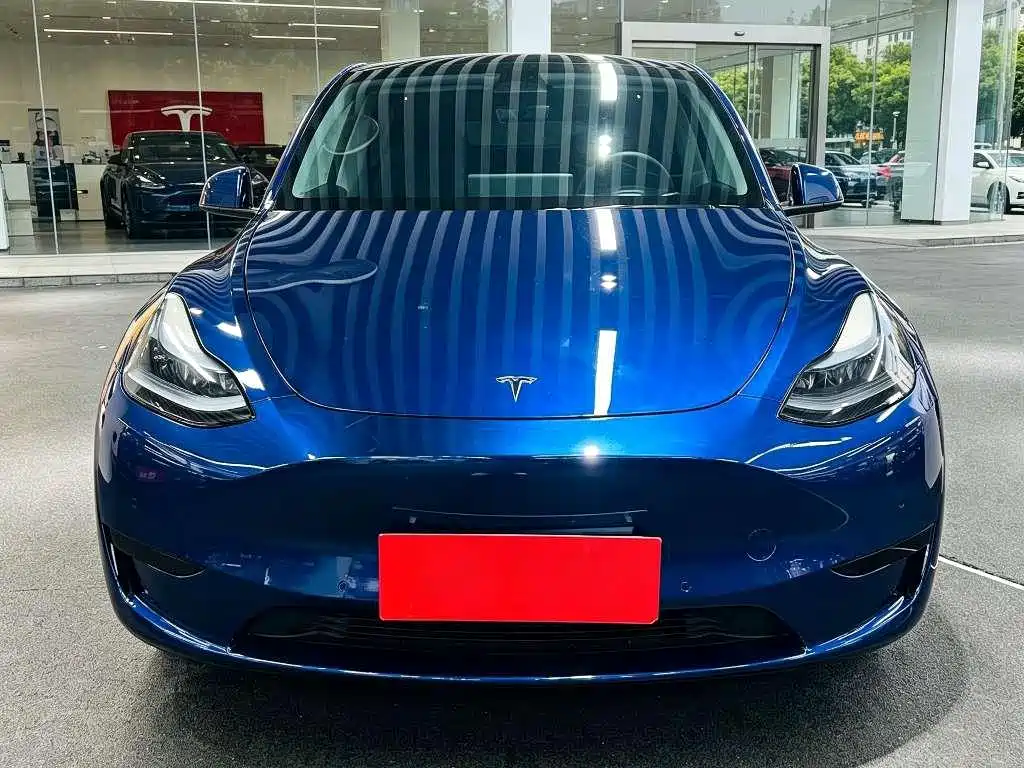 Tesla Model Y — миниатюра 2