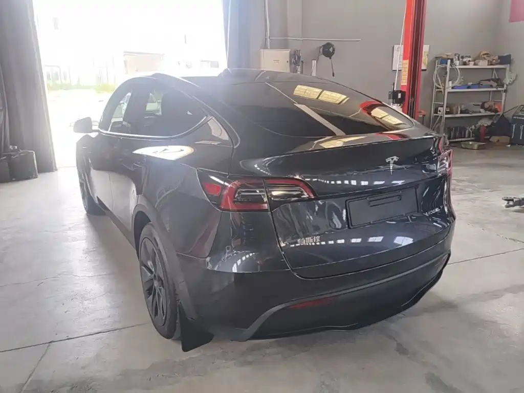 Tesla Model Y — миниатюра 5