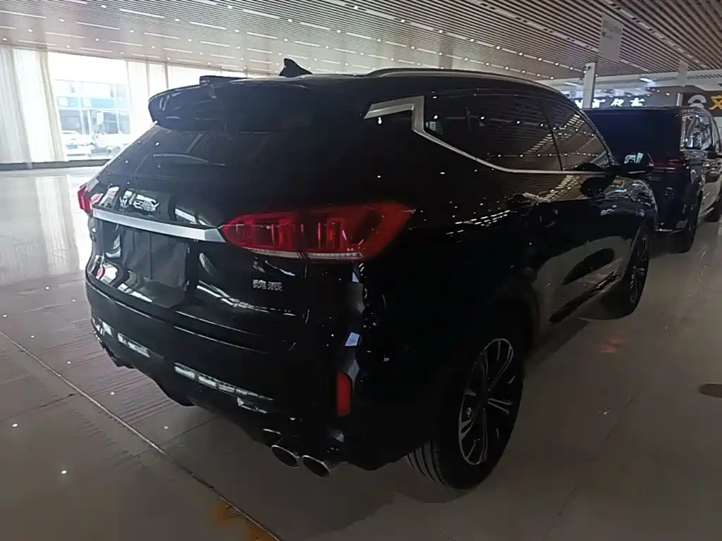 Wey Wey VV6 — миниатюра 7