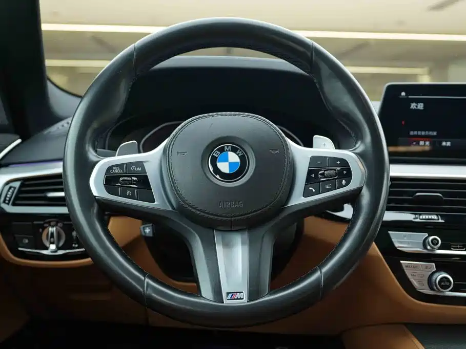 BMW 5 Series (Import) — миниатюра 17
