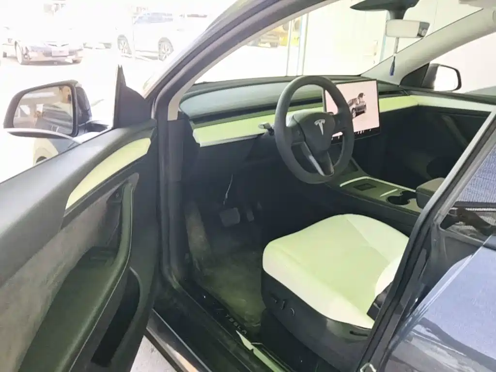 Tesla Model Y — миниатюра 23