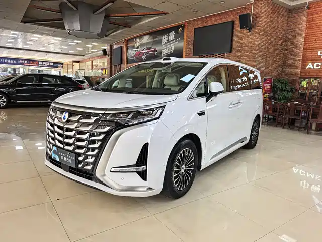 2025 Denza D9