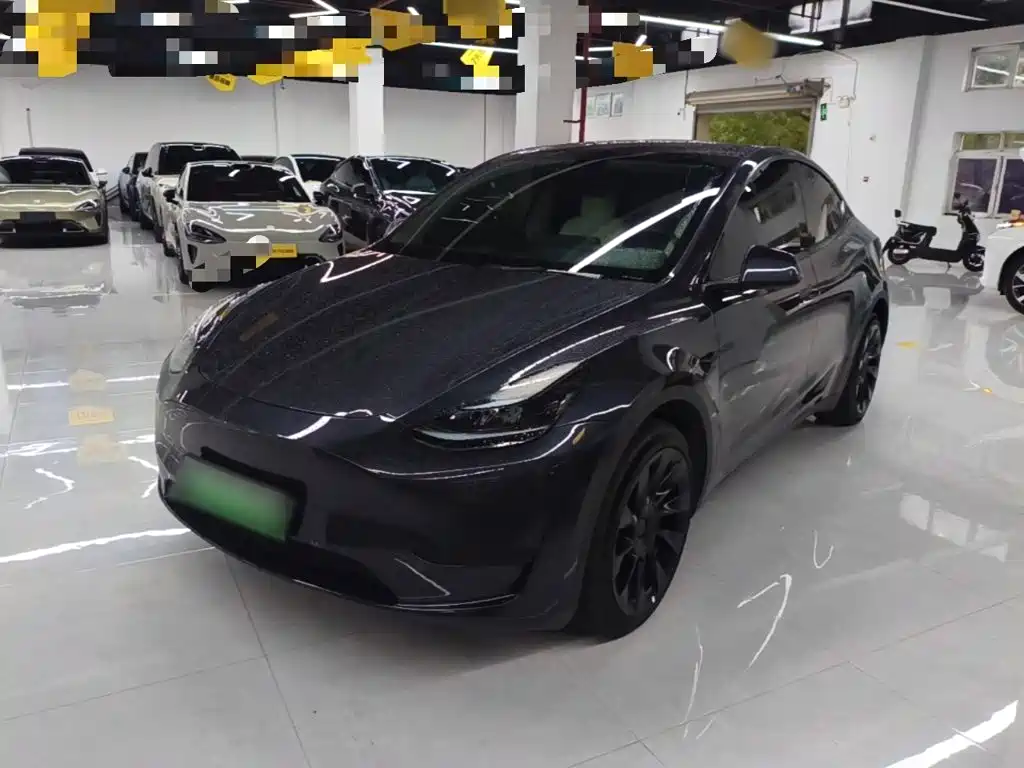 Tesla Model Y — миниатюра 2