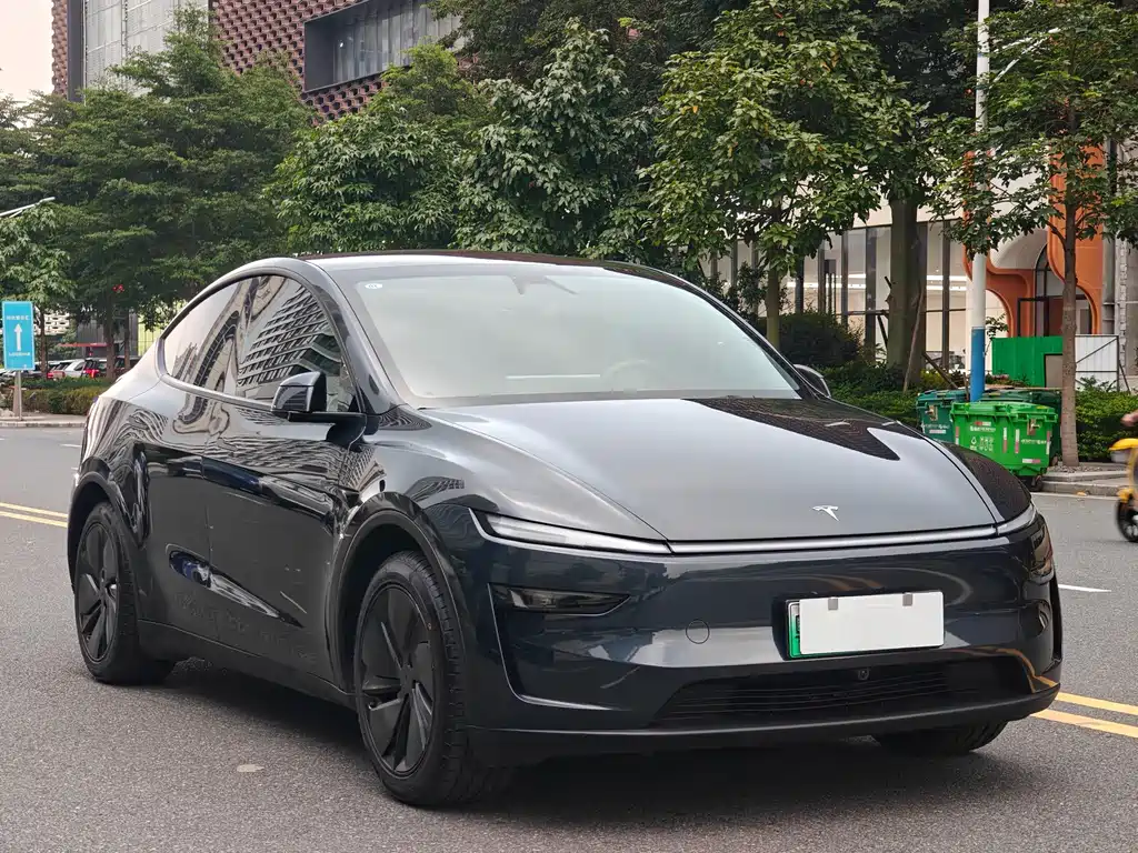 Tesla Model Y — миниатюра 3