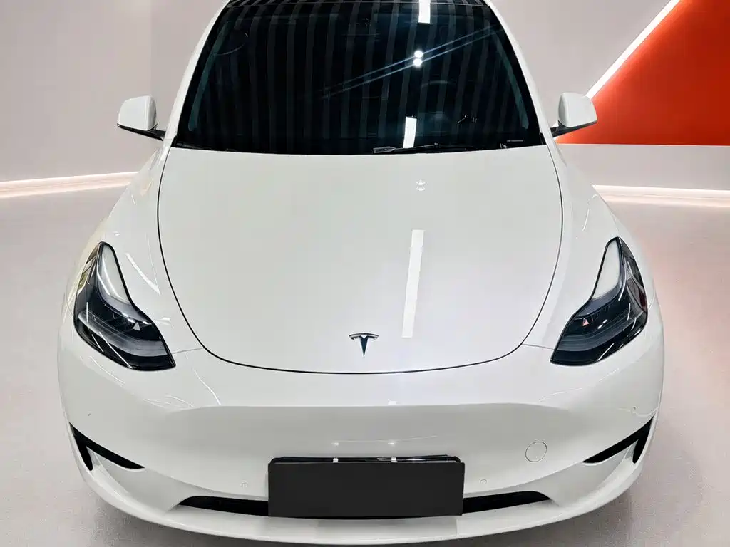 Tesla Model Y — миниатюра 2