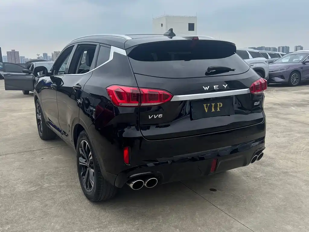 Wey Wey VV6 — миниатюра 15