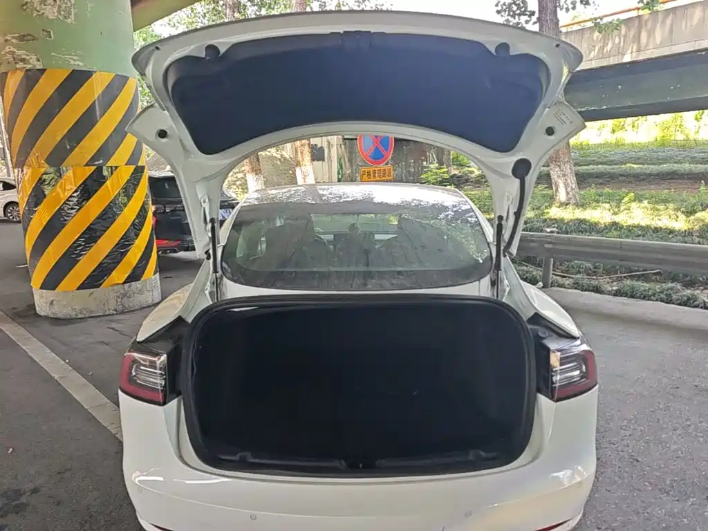 Tesla Model 3 — миниатюра 19